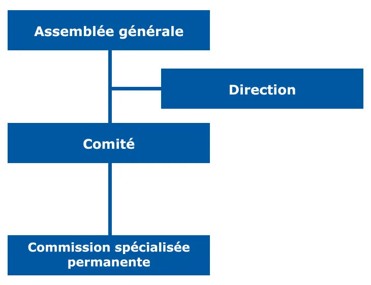 organigramm